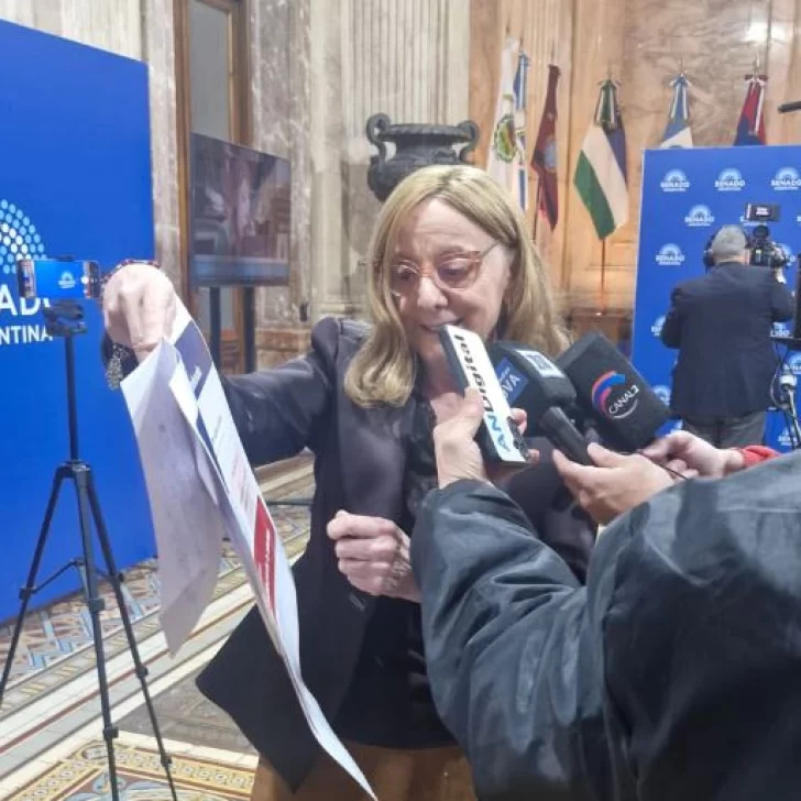 Alicia Kirchner rechazó la reforma de Zonas Frías y advirtió por el impacto en los hogares: “Esto es una barbaridad” Alicia Kirchner rechazó la reforma de Zonas Frías y advirtió por el impacto en los hogares: “Esto es una barbaridad”