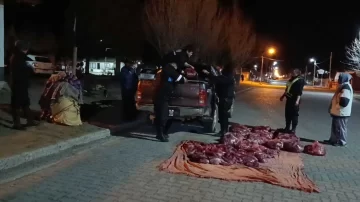 Transportaban 700 kilos de carne de guanaco entre frazadas por la Ruta 40: fue secuestrada e incinerada Transportaban 700 kilos de carne de guanaco entre frazadas por la Ruta 40: fue secuestrada e incinerada