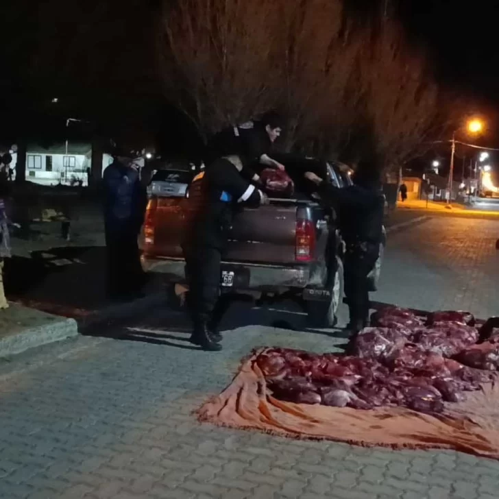 Transportaban 700 kilos de carne de guanaco entre frazadas por la Ruta 40: fue secuestrada e incinerada Transportaban 700 kilos de carne de guanaco entre frazadas por la Ruta 40: fue secuestrada e incinerada