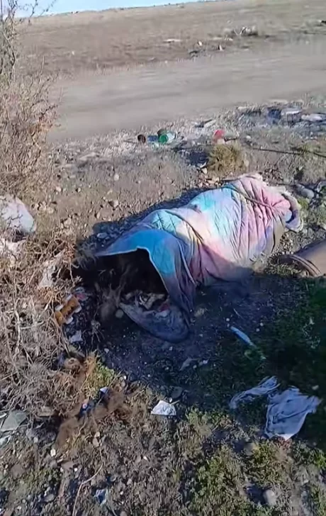  Junto a la cucha encontraron el cuerpo de otro perro, que estaba envuelto en una manta.