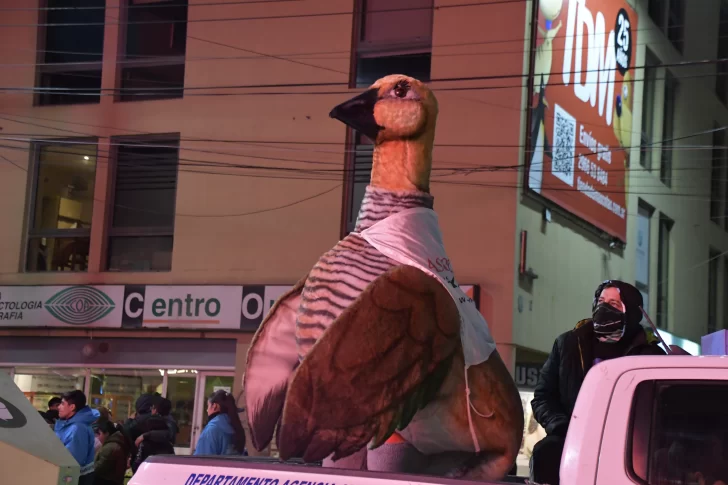 Fotogalería
