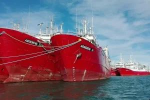 Murió un tripulante de 36 años a bordo del Argenova IV cerca de Chubut: llegará esta madrugada a Puerto Deseado
