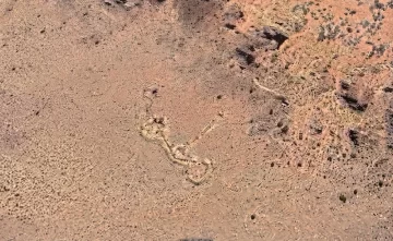 Descubrieron figuras gigantes y ancestrales en la cordillera de Mendoza como las líneas de Nazca Descubrieron figuras gigantes y ancestrales en la cordillera de Mendoza como las líneas de Nazca