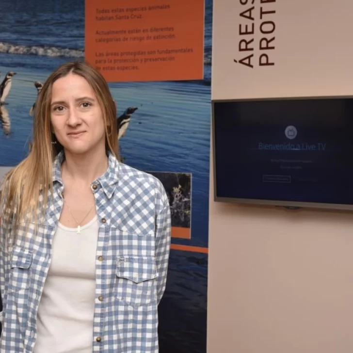 Zavalia sobre la FIT: “Vamos a tratar de posicionar a Santa Cruz como un destino que se puede visitar todo el año” Zavalia sobre la FIT: “Vamos a tratar de posicionar a Santa Cruz como un destino que se puede visitar todo el año”