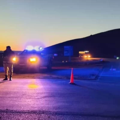 Identificaron cerca de mil ovejas durante un control y buscan determinar su procedencia