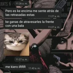 Alarma máxima en un colegio de Río Gallegos: una chica de 13 años planeaba un tiroteo y fue separada del aula