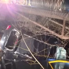 Buscan a un nene de 4 años que quedó atrapado en un auto que cayó a un canal en Río Negro