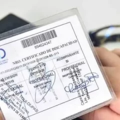 Certificado Único de Discapacidad: todos los beneficios que ofrece Anses