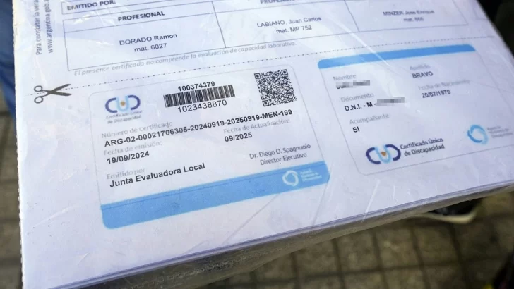 certificado-unico-discapacidad-728x410