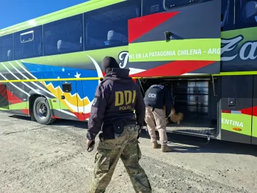 Perros detectores rastrearon drogas en el acceso a El Calafate y en empresas de encomiendas Perros detectores rastrearon drogas en el acceso a El Calafate y en empresas de encomiendas