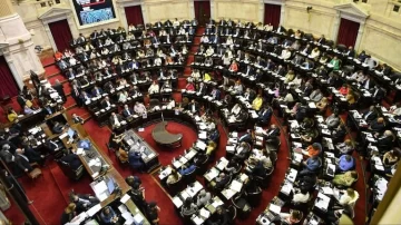 Juliana Di Tulio: “Nos quitaron la soberanía que el pueblo sostuvo con su movilización” Juliana Di Tulio: “Nos quitaron la soberanía que el pueblo sostuvo con su movilización”