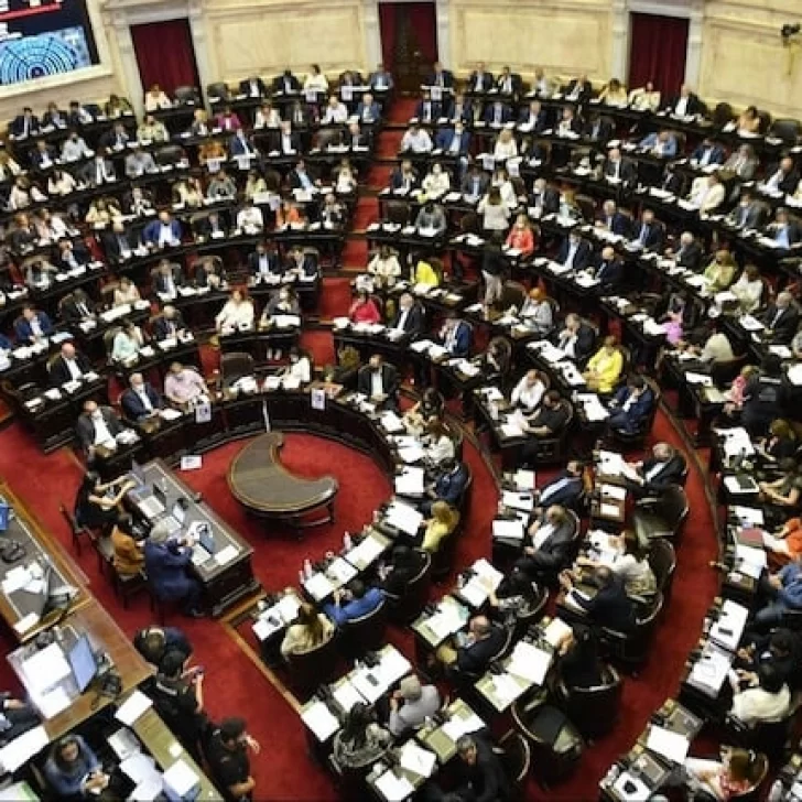 Juliana Di Tulio: “Nos quitaron la soberanía que el pueblo sostuvo con su movilización” Juliana Di Tulio: “Nos quitaron la soberanía que el pueblo sostuvo con su movilización”