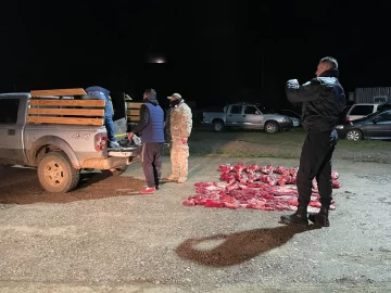 Detectaron a dos hombres con cuatro guanacos despostados en una camioneta: intentaban irse de Santa Cruz Detectaron a dos hombres con cuatro guanacos despostados en una camioneta: intentaban irse de Santa Cruz
