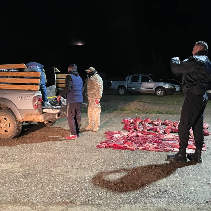 Detectaron a dos hombres con cuatro guanacos despostados en una camioneta: intentaban irse de Santa Cruz Detectaron a dos hombres con cuatro guanacos despostados en una camioneta: intentaban irse de Santa Cruz