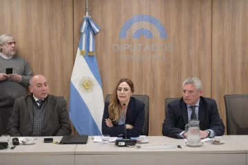 Avanza en Diputados la incorporación de “tierras raras” al Código de Minería Avanza en Diputados la incorporación de “tierras raras” al Código de Minería