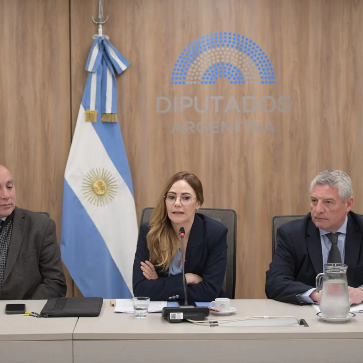 Avanza en Diputados la incorporación de “tierras raras” al Código de Minería Avanza en Diputados la incorporación de “tierras raras” al Código de Minería