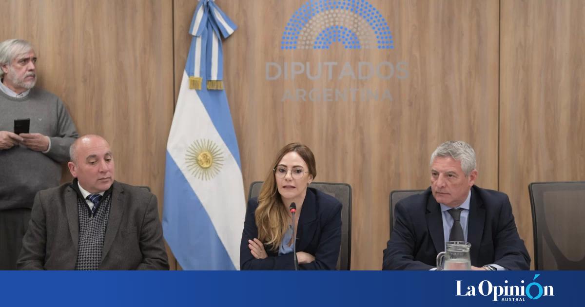 Avanza en Diputados la incorporación de tierras raras al Código de Minería