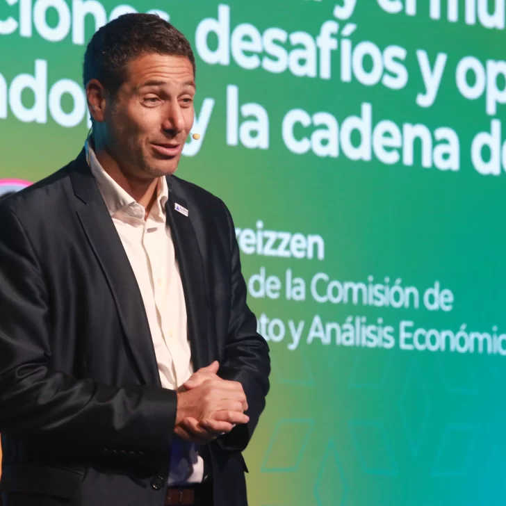 Daniel Dreizzen, economista del IAPG: “Argentina podrá desarrollarse transformando sus recursos en valor” Daniel Dreizzen, economista del IAPG: “Argentina podrá desarrollarse transformando sus recursos en valor”