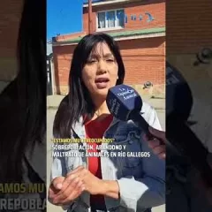 Sobrepoblación, abandono y maltrato de animales en Río Gallegos