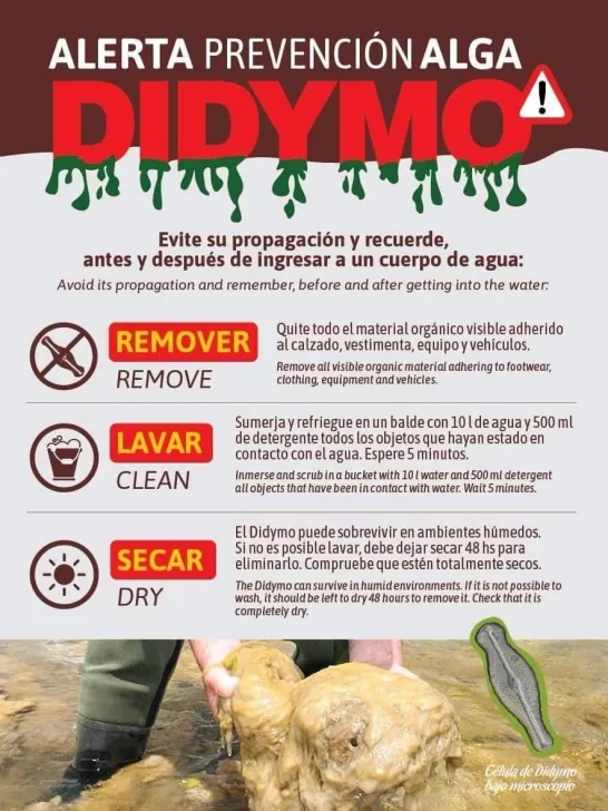  Las recomendaciones de Parques Nacionales.
