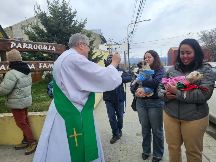 Fotogalería