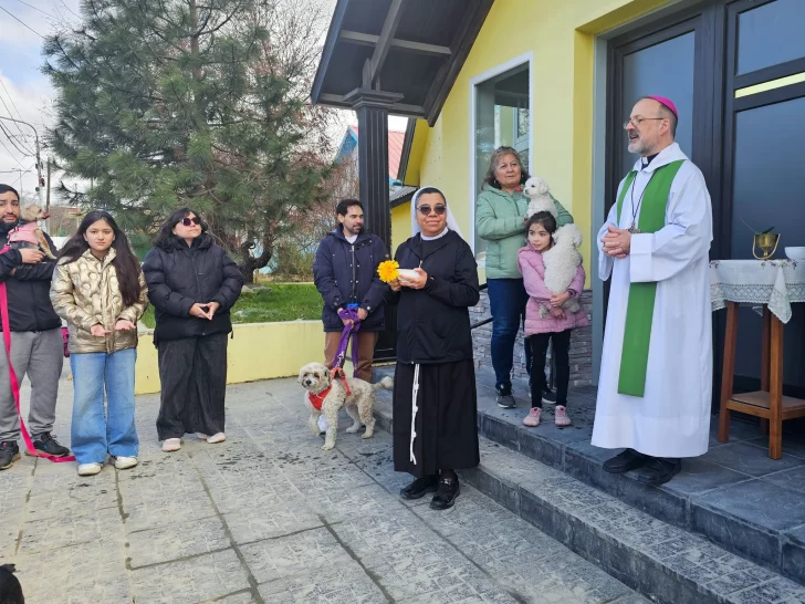 Fotogalería