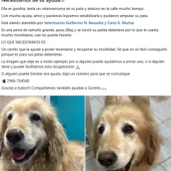 De Pedidos Ya a pedido de captura: atraparon en Salta a un joven con una causa por robo en Santa Cruz
