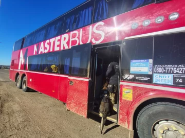 Detuvieron a un prófugo y secuestraron cocaína en un colectivo de larga distancia en San Julián Detuvieron a un prófugo y secuestraron cocaína en un colectivo de larga distancia en San Julián