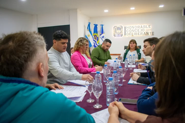 El proyecto de analizó en la Comisión de Transporte, Industria, Comercio y Asuntos Técnicos del Concejo Deliberante de Río Gallegos analizó este martes 6 de octubre.
