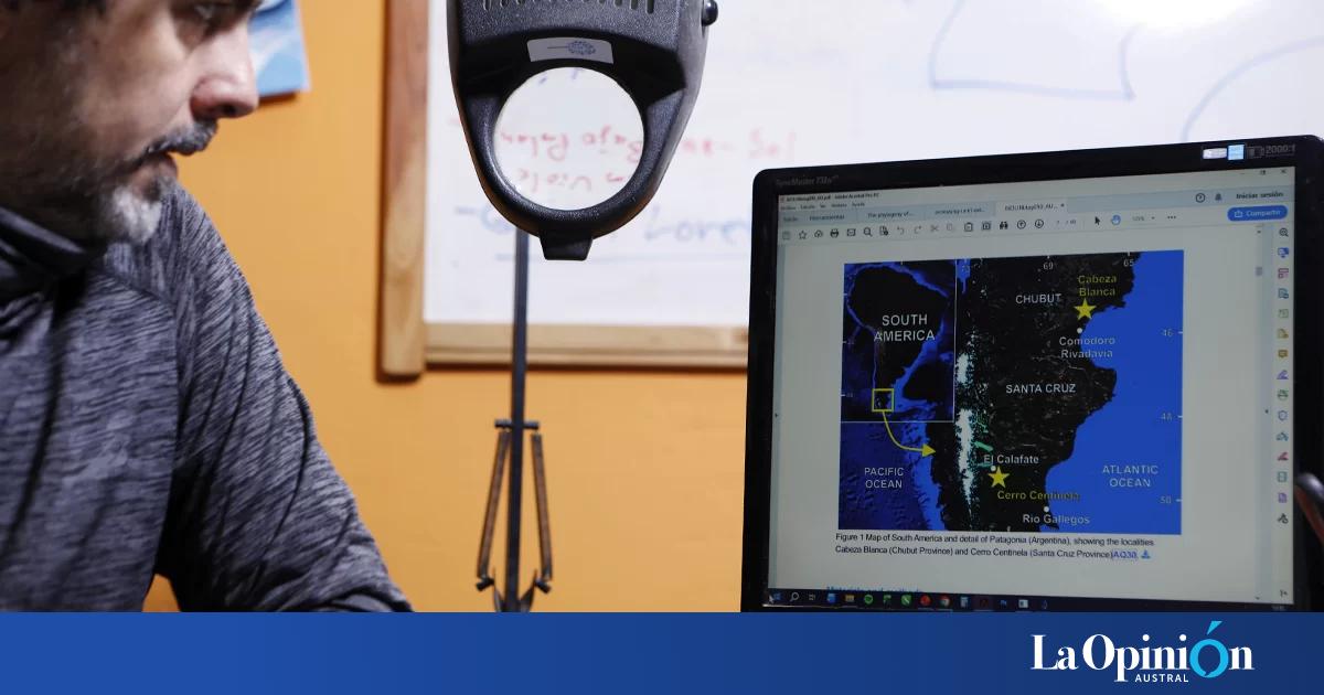 Identificaron el fósil de un mamífero que vivió hace más de 18 millones de años en Santa Cruz