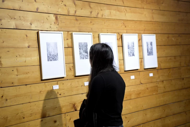 Fotogalería