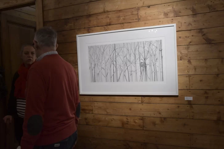 Fotogalería