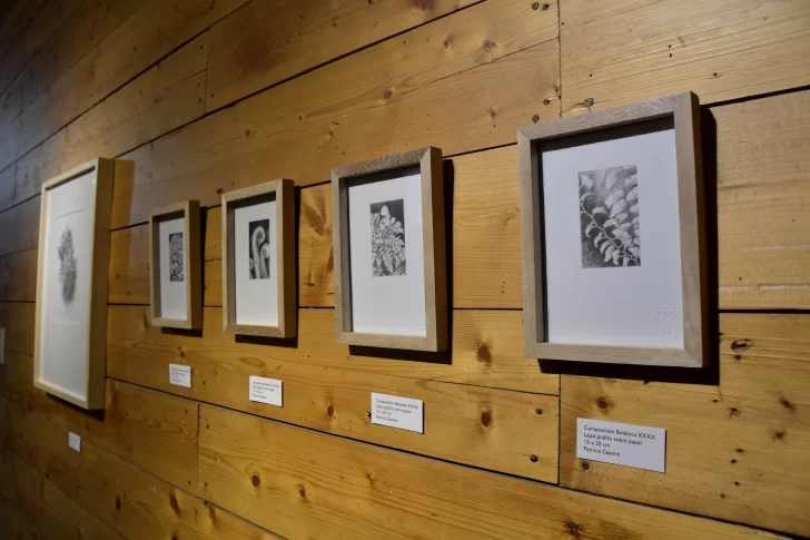 Fotogalería
