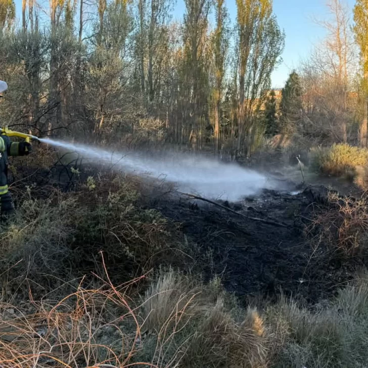 Bomberos controlaron un incendio de pasturas en Perito Moreno