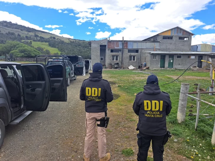 Armas del depósito judicial