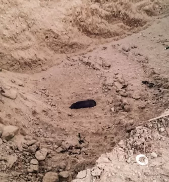 Bomberos rescataron a un perro atrapado en una fosa de la cantera municipal de Puerto Santa Cruz Bomberos rescataron a un perro atrapado en una fosa de la cantera municipal de Puerto Santa Cruz