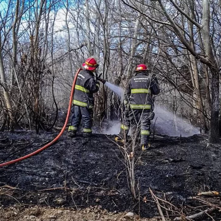 Un cigarrillo provocó un incendio de pasturas en Gobernador Gregores Un cigarrillo provocó un incendio de pasturas en Gobernador Gregores