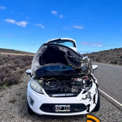 Grave accidente en la Ruta 43: un auto chocó contra un guanaco cerca de Perito Moreno
