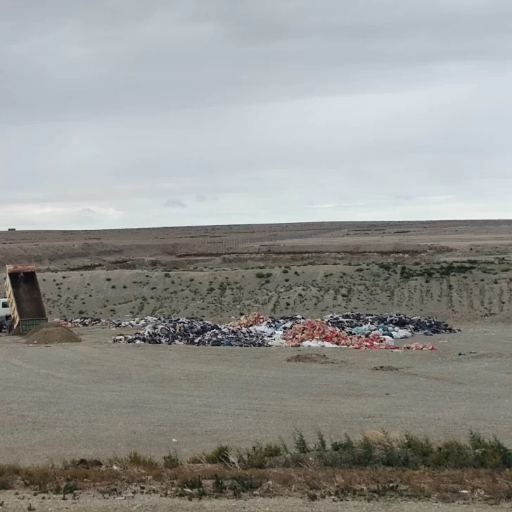 basura-estancia-punta-loyola-residuos-1-728x728 basura-estancia-punta-loyola-residuos-1-728x728