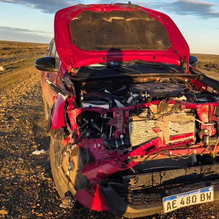 El exgobernador Arturo Puricelli chocó en la Ruta 3 junto a su esposa: se le cruzó un guanaco cerca de Piedra Buena El exgobernador Arturo Puricelli chocó en la Ruta 3 junto a su esposa: se le cruzó un guanaco cerca de Piedra Buena