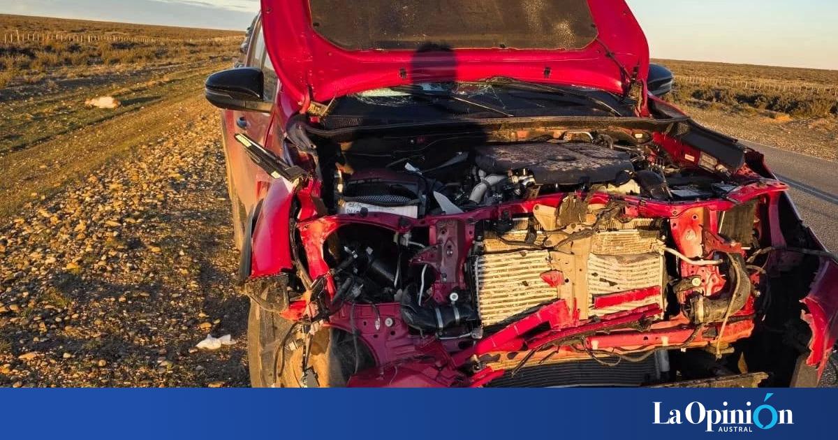 El exgobernador Arturo Puricelli chocó en la Ruta 3 junto a su esposa: se le cruzó un guanaco cerca de Piedra Buena