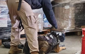 Detectaron una encomienda con marihuana desde Buenos Aires en la ciudad de El Calafate Detectaron una encomienda con marihuana desde Buenos Aires en la ciudad de El Calafate