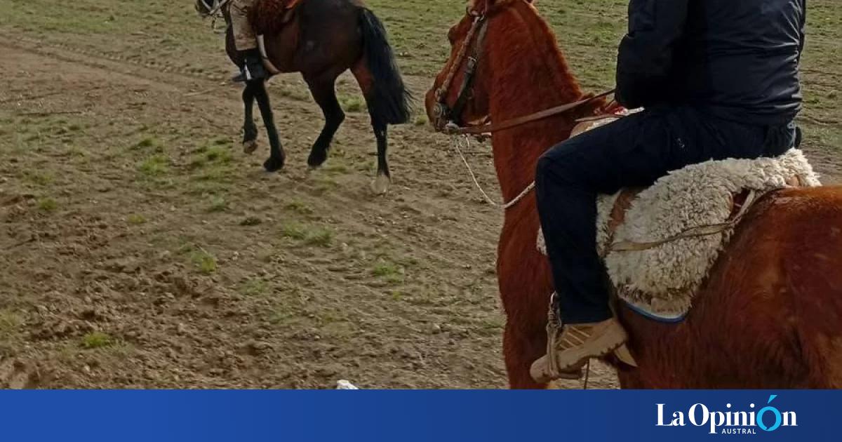 La División Rural patrulló campos y chacras en las márgenes del Río Santa Cruz cerca de Piedra Buena