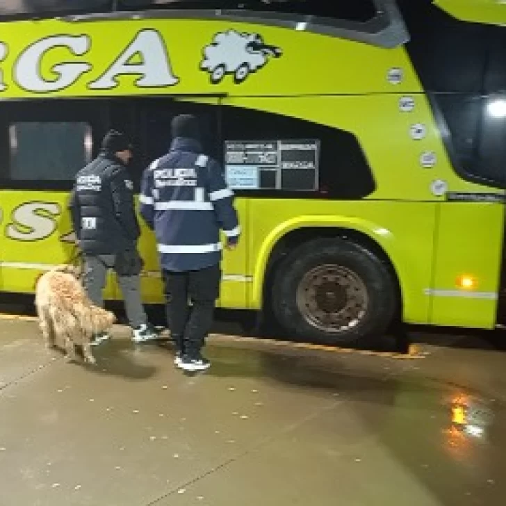 Detuvieron en la terminal de Puerto San Julián a cinco personas que eran buscada por la Justicia Detuvieron en la terminal de Puerto San Julián a cinco personas que eran buscada por la Justicia