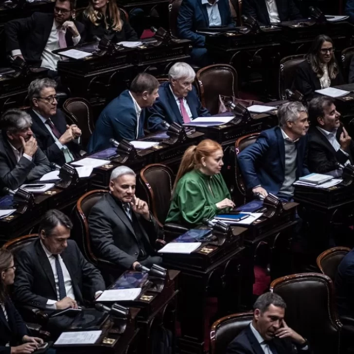 Diputados aprobó la Ley de Fortalecimiento al Sistema de Discapacidad con amplia mayoría