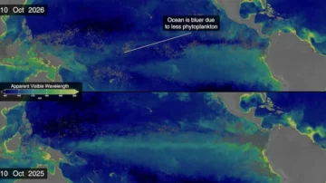 La NASA monitorea El Niño y advierte que podría alcanzar una intensidad sin precedentes hasta diciembre La NASA monitorea El Niño y advierte que podría alcanzar una intensidad sin precedentes hasta diciembre