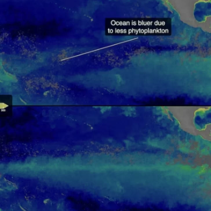La NASA monitorea El Niño y advierte que podría alcanzar una intensidad sin precedentes hasta diciembre La NASA monitorea El Niño y advierte que podría alcanzar una intensidad sin precedentes hasta diciembre