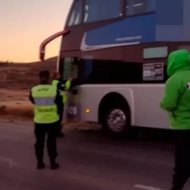Un conductor viajaba con 20 menores por la Ruta 40 y dio positivo de alcoholemia Un conductor viajaba con 20 menores por la Ruta 40 y dio positivo de alcoholemia