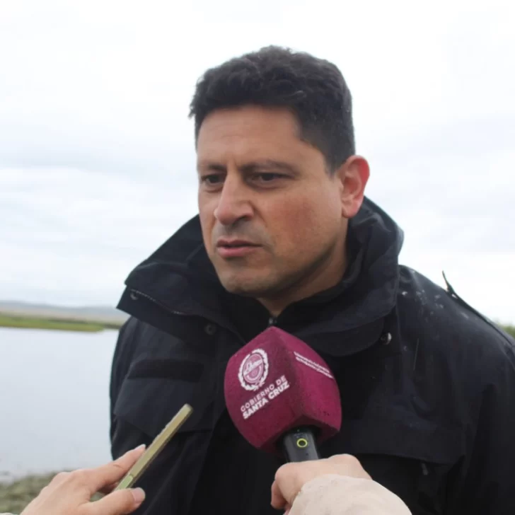 Búsqueda de los hermanitos José y Leo: el jefe de Policía dijo que la participación de civiles podría “perjudicar el trabajo” Búsqueda de los hermanitos José y Leo: el jefe de Policía dijo que la participación de civiles podría “perjudicar el trabajo”