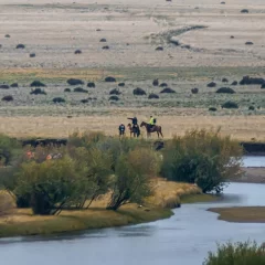 Río Gallegos ruega por la aparición de los hermanitos José y Leo